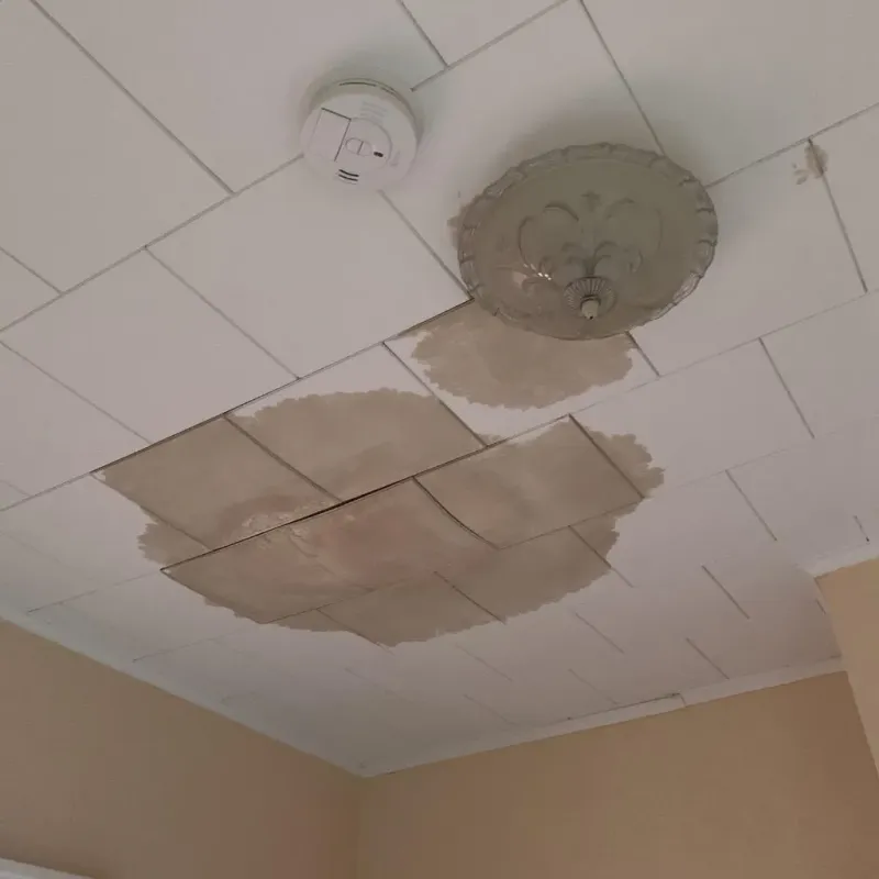 Ceiling Water Damage Repair in La Vergne, TN