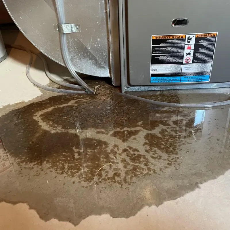 Pipe Burst and Leak Restoration in La Vergne, TN