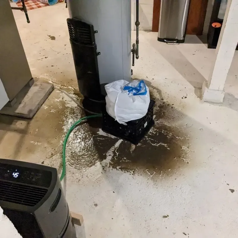 Sewage Backup Cleanup Service in La Vergne, TN